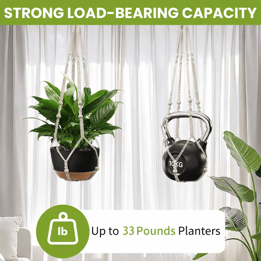 Diigabo 2-Pack 10-inch Self-Watering Hanging Planters with Macrame Hanger Indoor Plastic Plant Pots with Drainage Hole&Saucers Flower Baskets for Outdoor Garden Home Ceiling Decor(Black)