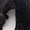 Black, variant on 5 Pairs Low Cut Lace Socks - Ice Silk Thin No Show Non-Skid Boat Socks for Women & Girls
