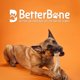 thumbnail image 2 of Juguete masticable para perros BetterBone, de densidad dura, totalmente natural, sin nailon, 2 of 6