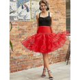 thumbnail image 2 of Jupon des Années 50 Robe Rockabilly Crinoline Tutu Jupons pour Femmes, 2 of 4