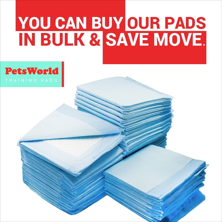 PetsWorld Pet Supplies Heavy Absorbent Adult Dog Pads, 30 X 36 Inches, Pee Pads, 300 Count training Puppy Pads 2-extra Large