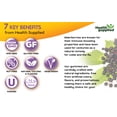 thumbnail image 2 of Health Supplied Sambucus Black Elderberry Gummies for Kids | Triple Immune Support | Elderberry Plus Vitamin C & D, 2 of 11