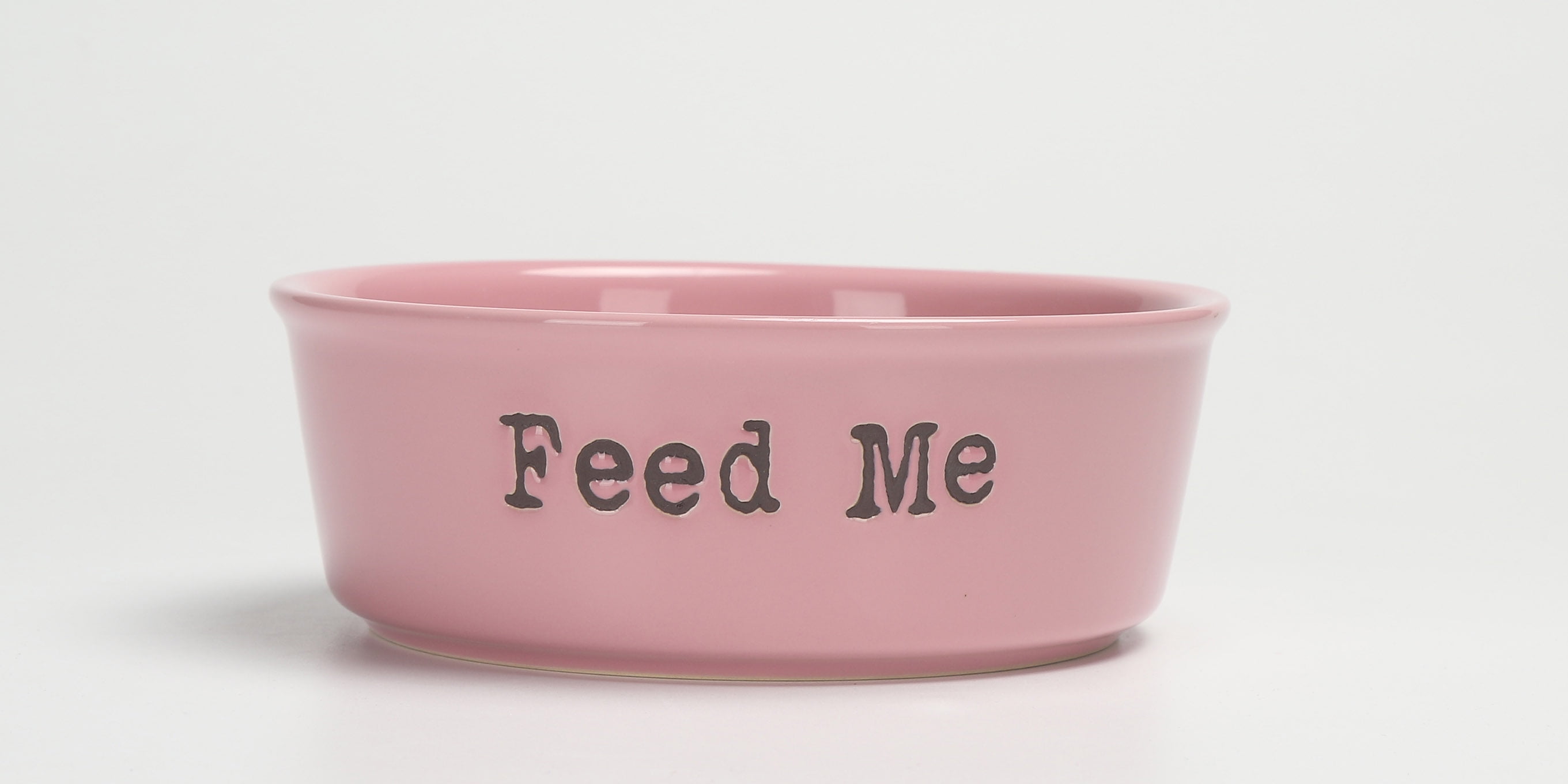 Vibrant Life Ceramic Feed Me Pet Bowl, Pink, Medium
