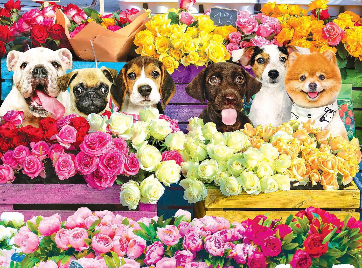 Kodak 1000 piece jigsaw puzzle - Flower Market Pups