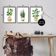 thumbnail image 3 of Stupell Minimal Potted Plants Botanicals Botanical & Floral Painting Black Framed Art Print Wall Art, Set of 3, 3 of 8
