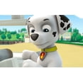 thumbnail image 2 of Adventures d'animaux (Bilingue), 2 of 4