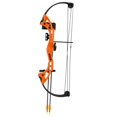 thumbnail image 2 of Bear Archery Brave Bow Orange, 2 of 2