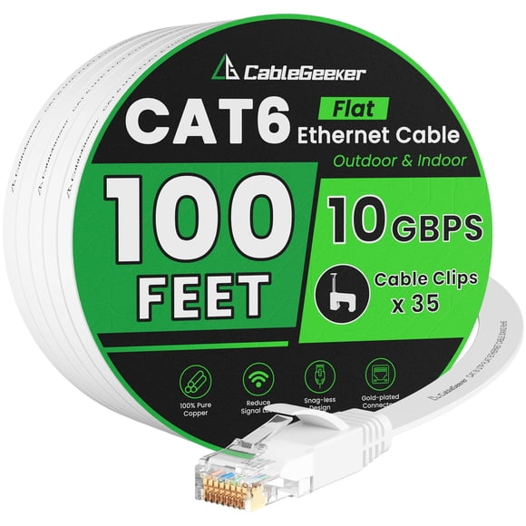 Cat 6 Ethernet Cable 100ft - High Speed 10Gbps, Indoor&Outdoor, Slim Flat Design, Supports Cat7 Net