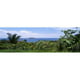 Panoramic Images PPI25902L Manuel Antonia National Park nr Quepos Costa Rica Affiche Imprimée par Panoramic Images - 36 x 12 – image 1 sur 1