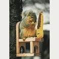 thumbnail image 2 of Songbird Essentials SE547 Squirrel Feeder Chair (Set of 1), 2 of 3