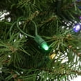 thumbnail image 5 of Northlight 24" Prelit LED Lights Northern Pine Artificial Christmas Wreath - Multi Lights, 5 of 9