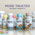 thumbnail image 7 of Solaray Collagen Bone Complete | Advanced Bone Matrix Formula with Plant Calcium & Magnesium | 30 Servings | 90 VegCaps, 7 of 7