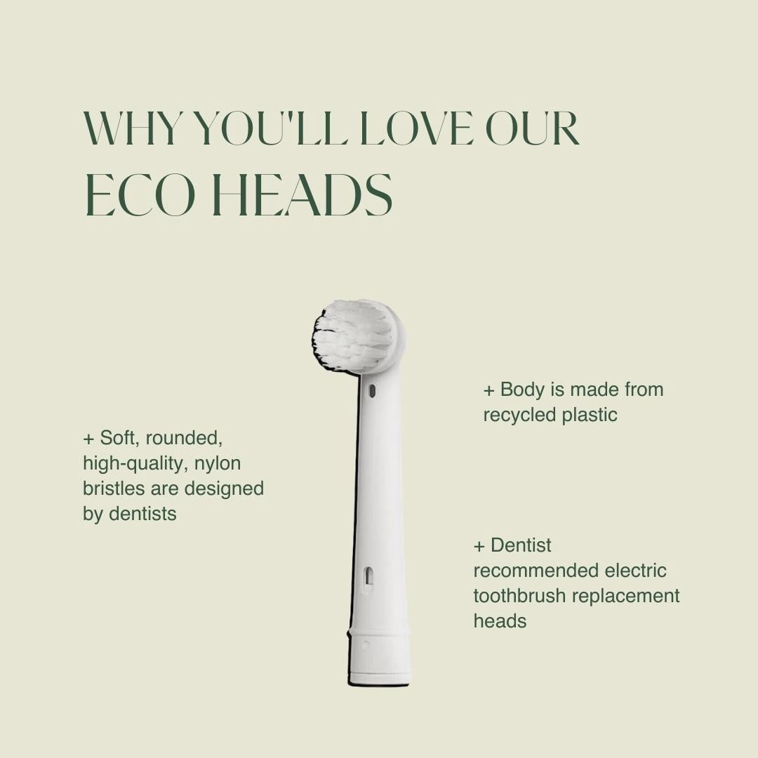 Toothbrush Head Replacement- Oral-B - 3pk
