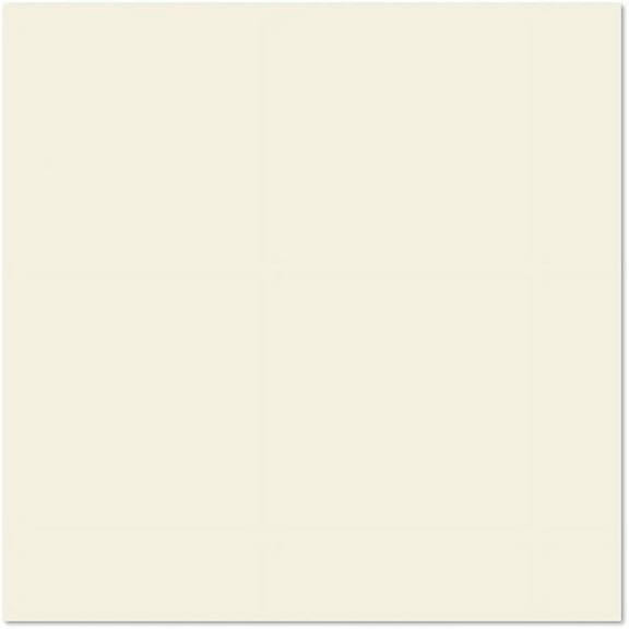 LUXPaper 12 x 12 Cardstock, 100lb Natural, 500/Pack