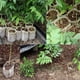 thumbnail image 4 of 100 Bolsas No Tejidas para Vivero de Plantas de Jardín, Bolsas de Tela para Macetas, 4 of 7