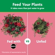 Miracle-Gro Water Soluble Rose Plant Food, 1.5 lbs., Feeds Instantly