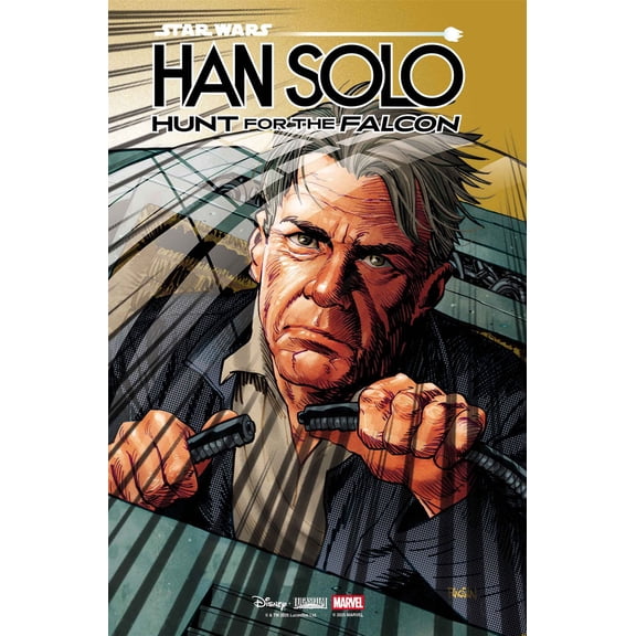 STAR WARS: HAN SOLO - HUNT FOR THE FALCON #1 DAN PANOSIAN VARIANT Marvel Comic Book 2025