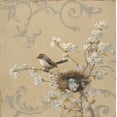 thumbnail image 2 of McGannon, Jill Schultz 12x12 Black Ornate Wood Framed with Double Matting Museum Art Print Titled - Kinglet and Pear, 2 of 4