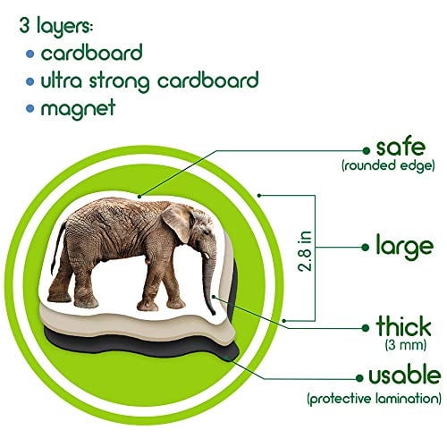 MAGDUM Zoo Photo Imanes para nevera para niños pequeños Imanes de animales - Imanes para n magdum magdum