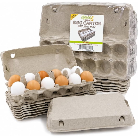 Egg Carton | Natural Pulp by Dasher's Spice & Beans | Holds One Dozen Eggs | Arts & Crafts Paint Holder | Pack of 12