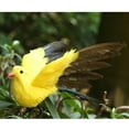 thumbnail image 1 of Pájaro artificial Emplumado gorrión shamjiam, 1 of 8