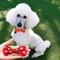 thumbnail image 4 of Pet Show Christmas para collar de perro, 11 x 7 cm, 10 unidades, 4 of 7