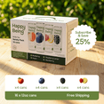 thumbnail image 3 of Happy Being White Tea Variety Pack – Blueberry, Blackberry, Peach, Raspberry Lemon, Antioxidant & Polyphenol Rich, Infused with Turmeric, Elderberry, Caffeine Free, Plant-Based (16 Pack), 3 of 10