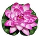 thumbnail image 1 of Loto Artificial de EVA Cateissary adorno de flor de lirio de agua falsa, 1 of 6
