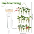 thumbnail image 2 of Wall  Propagation Station with Wooden Stand 5 Glass Test Tubes 3 Tiers Planters Wall Terrarium for  Office  Hanger Flower Vases Wall Decor Hydroponic Cuttings, 2 of 7