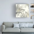 thumbnail image 2 of Trademark Fine Art Chris Paschke Gray and Silver Flowers I Canvas Wall Art - 24x24, 2 of 5