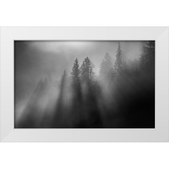 Dauer, Andy 14x10 White Modern Wood Framed Museum Art Print Titled - Wintersun