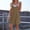 Khaki, variant on Women Dress Oversized Solid Color V-Neck Mid-Length Dress Casual Slim Fit Sleeveless Dresses
