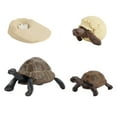 thumbnail image 2 of Daisyyozoid 4 Piece Insect Figure Animal Life Cycle Plastic Brood To Mature Period, 2 of 3