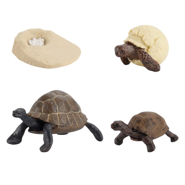 Plastic Animals Figures 4 Piece Insect Figure Animal Life Cycle Plastic Brood to Mature Period