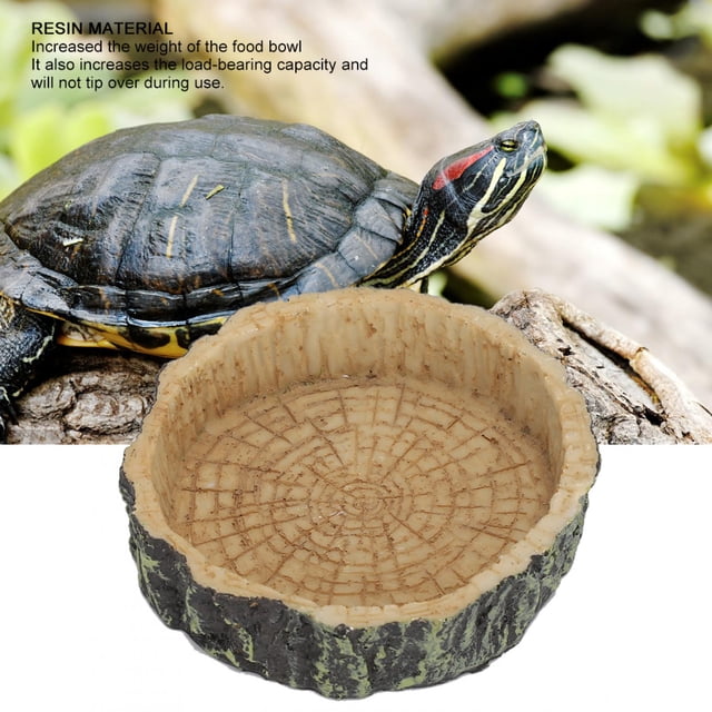 GLOGLOW Cuenco de Reptil, Cuenco Redondo de Resina para Comida, Plato de Agua para Mascotas, Plato de alimentación para Tortuga, Lagarto, camaleón, Iguana Alimentador de lagartos Spptty Suministros para reptiles