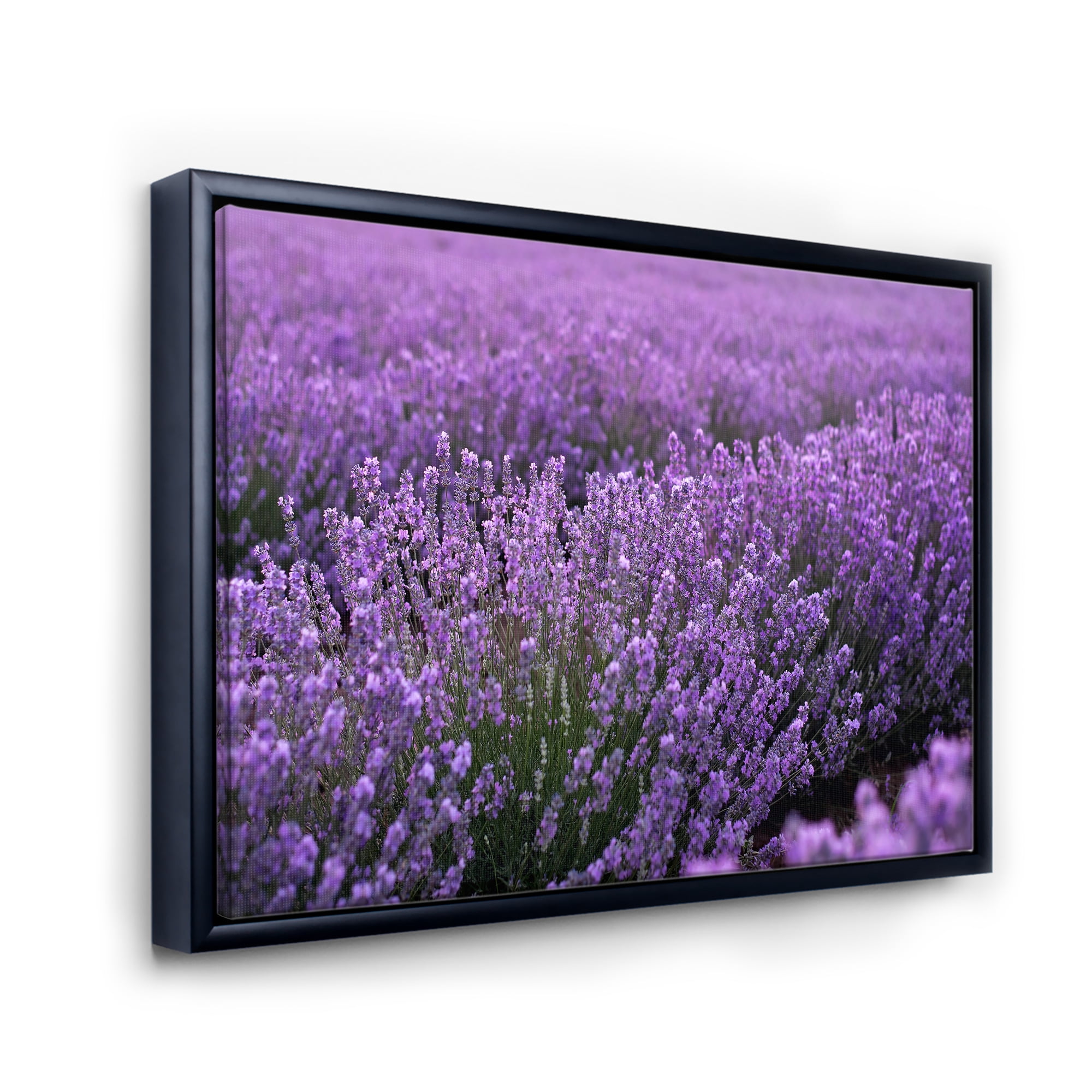 Designart 'Blooming Purple Lavender Meadow' Farmhouse Framed Canvas Wall Art Print