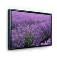 thumbnail image 3 of Designart 'Blooming Purple Lavender Meadow' Farmhouse Framed Canvas Wall Art Print, 3 of 5