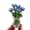 C, variant on Crystal Flower Figure Collectibles Hand Blown Glass Flowers Bouquet Handcraft Gift for DIYer Decorative Projects