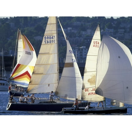 Duck Dodge Sailboat Race, Lake Union, Seattle, Washington, USA Print Wall Art By William (Best Duck Boat For The Money)