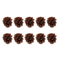 thumbnail image 1 of Pine Cone Chewing Bird Toy, Parrots Chewing Pine Cones Multifunction Bite Resistant More Fun Natural  For Finch For Parakeet, 1 of 8