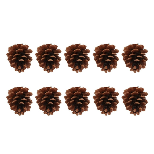 Pine Cone Chewing Bird Toy, Parrots Chewing Pine Cones Multifunction Bite Resistant More Fun Natural For Finch For Parakeet