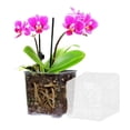 thumbnail image 5 of Flowerpot Acrylic Transparent Orchid Planter Breathable Hydrophobic Bottom Drainage Plant Pot Tuber Growth Planter, 5 of 8