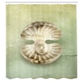 thumbnail image 3 of Ambesonne Pearls Shower Curtain, Open Shell Marine Life, 69"Wx70"L, Green Beige, 3 of 5