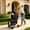 Black, variant on Pawverly 3-in-1 Double Dog & Cat Stroller with Detachable Carrier, Foldable Pet Travel Cart for Small & Medium Pets, 4-Wheel Stroller, Black