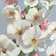 thumbnail image 2 of Swatland, Sally 26x26 White Modern Wood Framed Museum Art Print Titled - Spring Blossoms Blue Sky II, 2 of 4