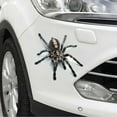 thumbnail image 6 of Deyuer 3D Spider Lizard Scorpion Car Sticker Vehicle Window Mirror Bumper Decal Decor, 6 of 8