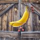 thumbnail image 3 of Insect Banana Feeder Outdoor Hanging Insect Feeder For Habitat Garden Decor, 3 of 6