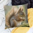thumbnail image 2 of BCIIG Squirrel Animal Pillow Cases Lightweight Super Soft Easy Care Plush Pillow Cover with Invisible Zipper Soft Breathable Body Pillowcases for Hair and Skin Home Decor 22x22in, 2 of 5
