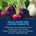 thumbnail image 2 of BioAdvanced Tomato & Vegetable Insect Killer, Ready-to-Spray, 32 oz, 2 of 6