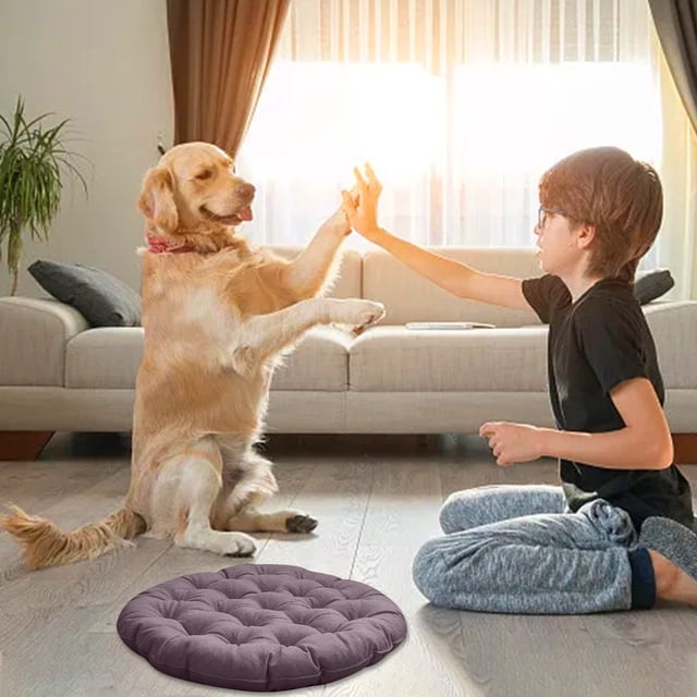 Xihbxyly Cojín para Silla Colgante, Diseño Suave y Cómodo, Relleno de Poliéster Transpirable, Versátil para Hamacas, Salas de Estar y Sillas de Interior y Exterior, Fácil de Limpiar, Funda Extraíble,